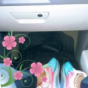 Meet your Posher, Shaneva